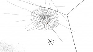 511_ «Spider web» _