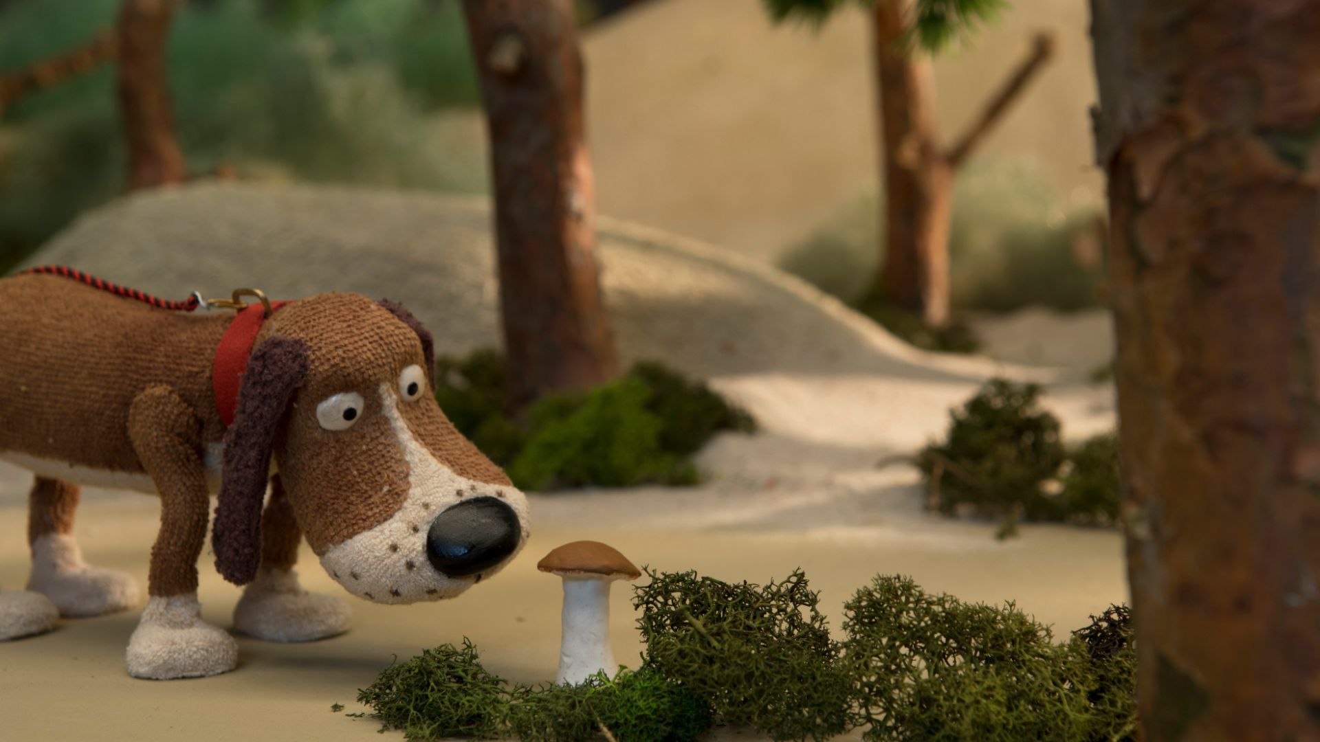 Filmstill zu "Mushroom's Life"