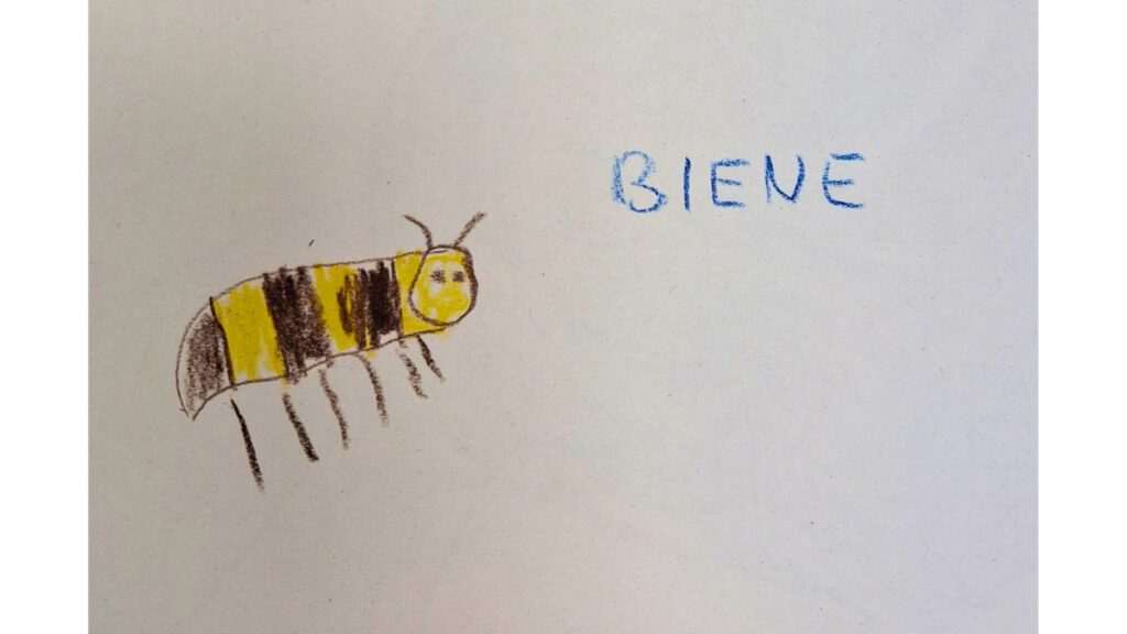 Feedback - Kinderbild Kita Braukämperstraße