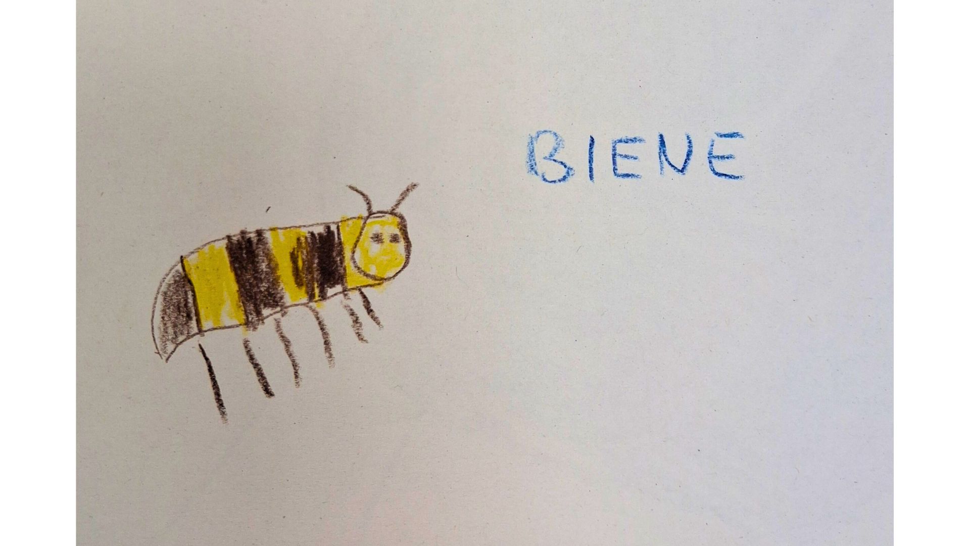 Feedback - Kinderbild Kita Braukämperstraße