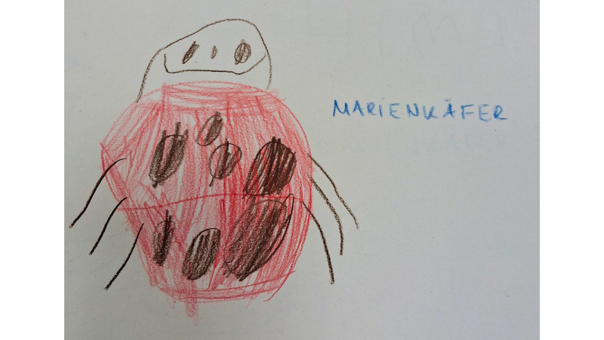 Feedback - Kinderbild Kita Braukämperstraße