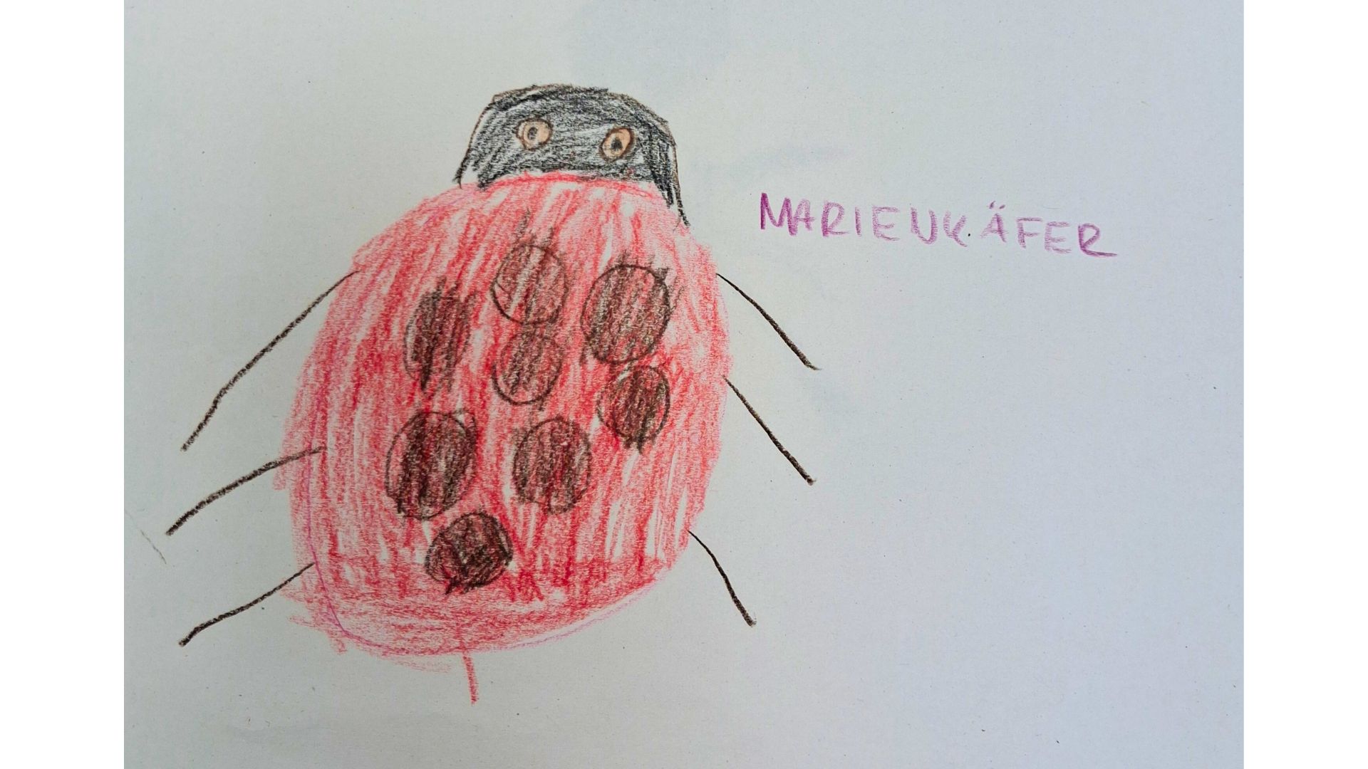 Feedback - Kinderbild Kita Braukämperstraße