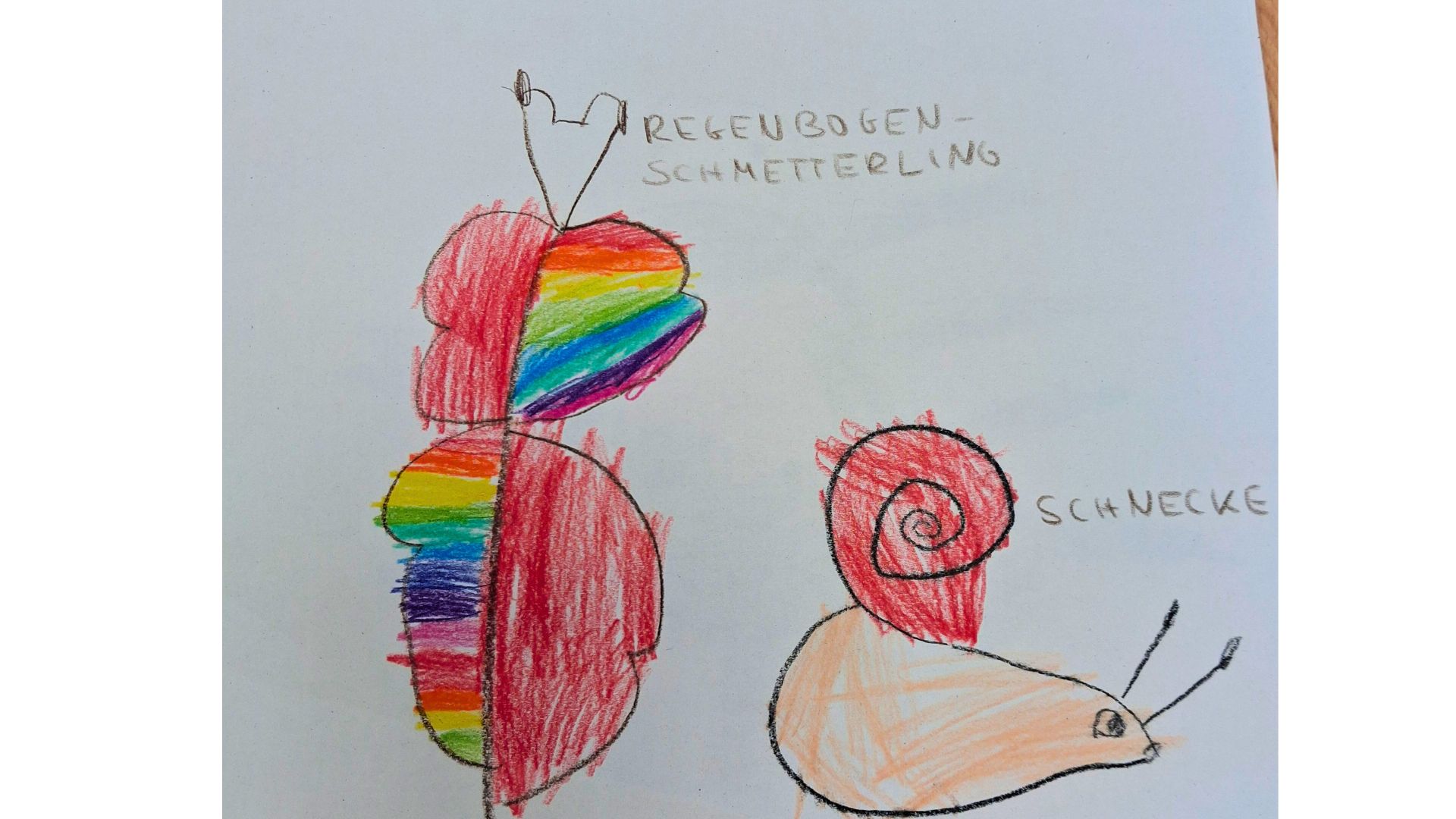 Feedback - Kinderbild Kita Braukämperstraße