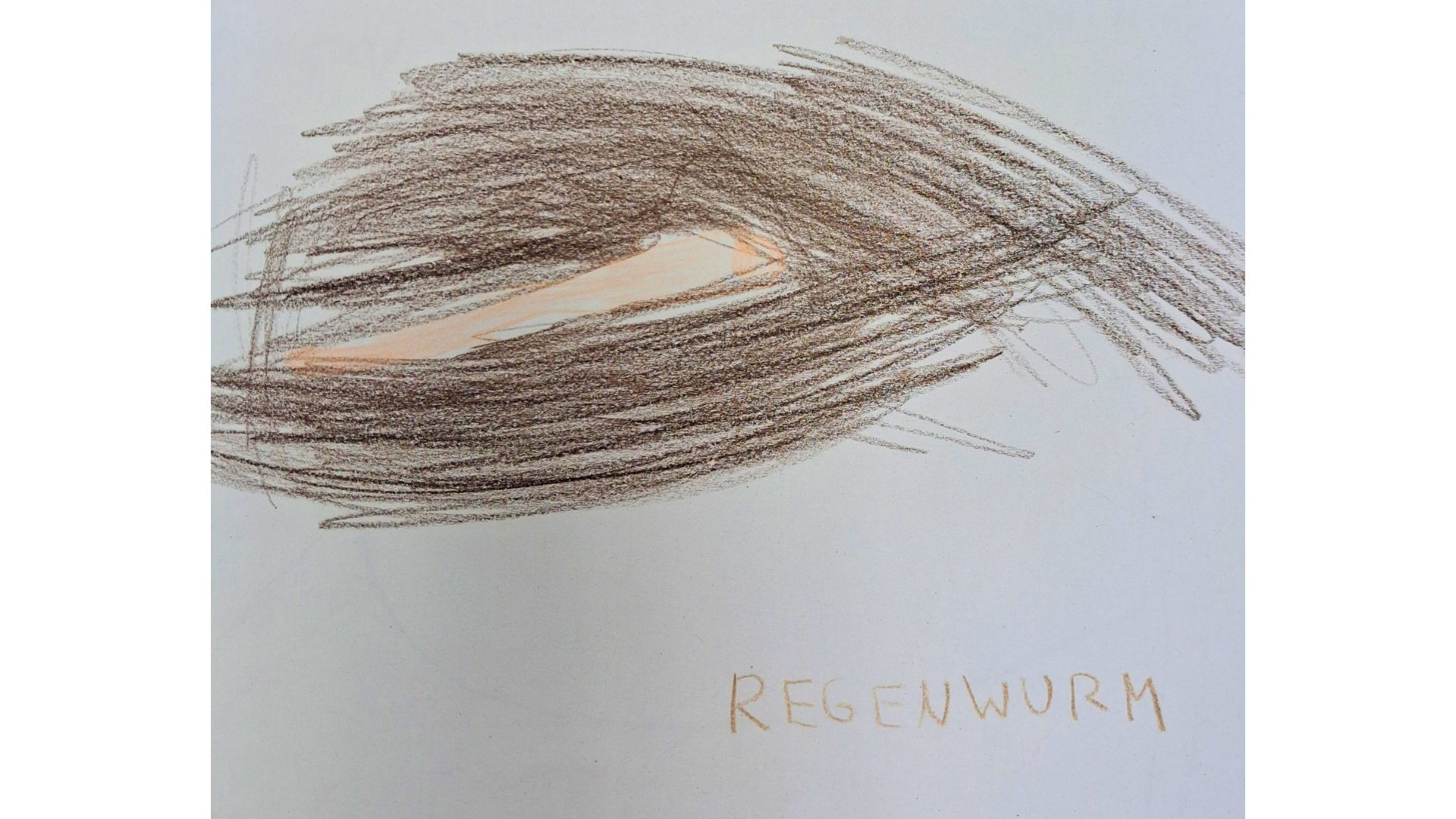 Feedback - Kinderbild Kita Braukämperstraße