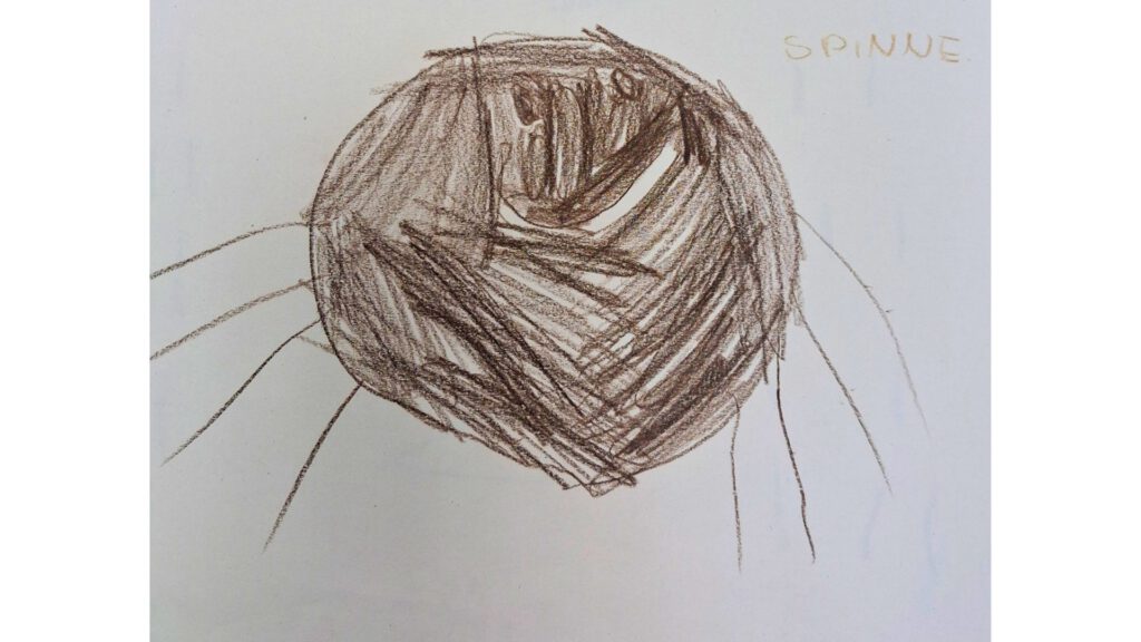 Feedback - Kinderbild Kita Braukämperstraße