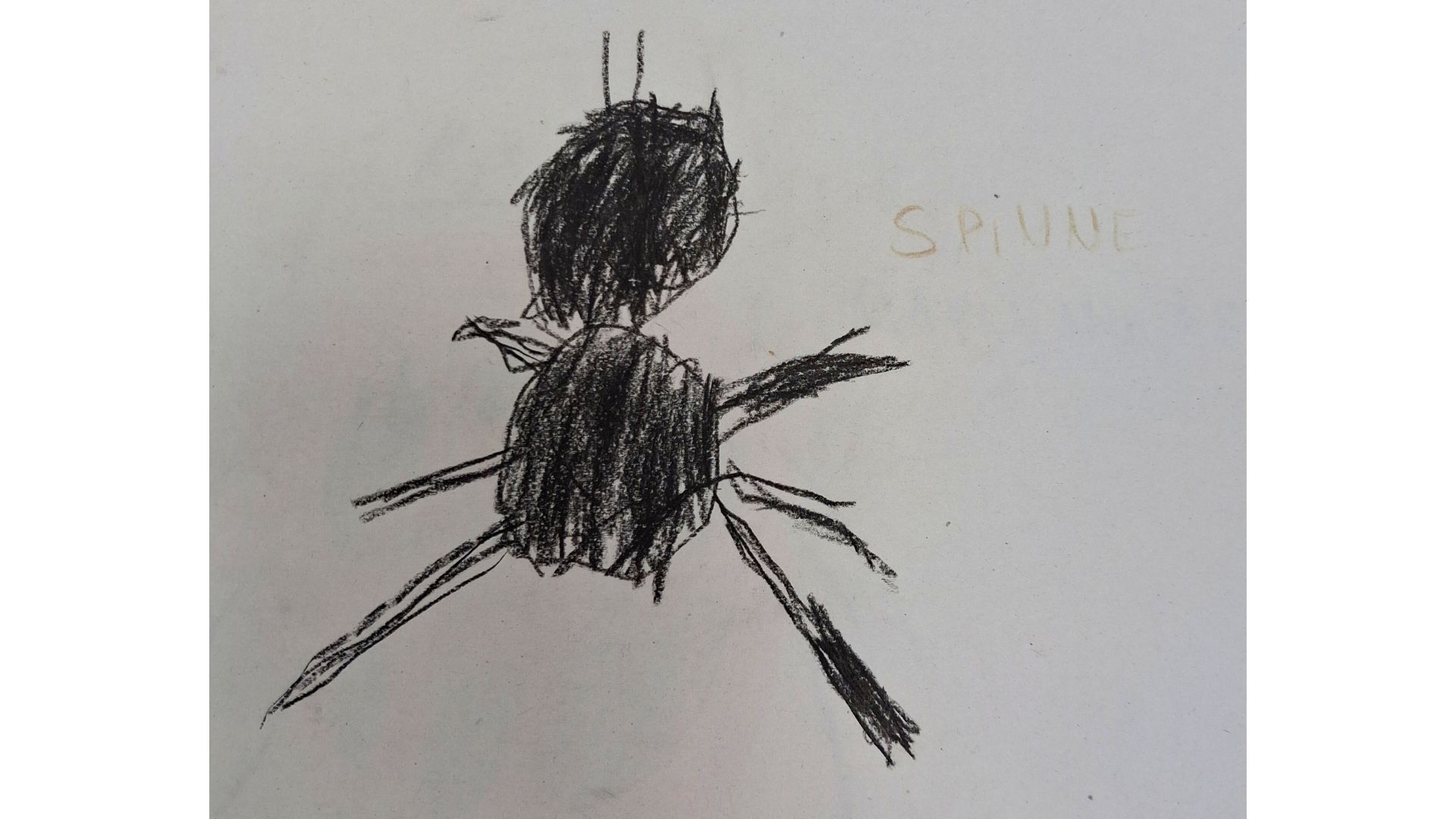 Feedback - Kinderbild Kita Braukämperstraße