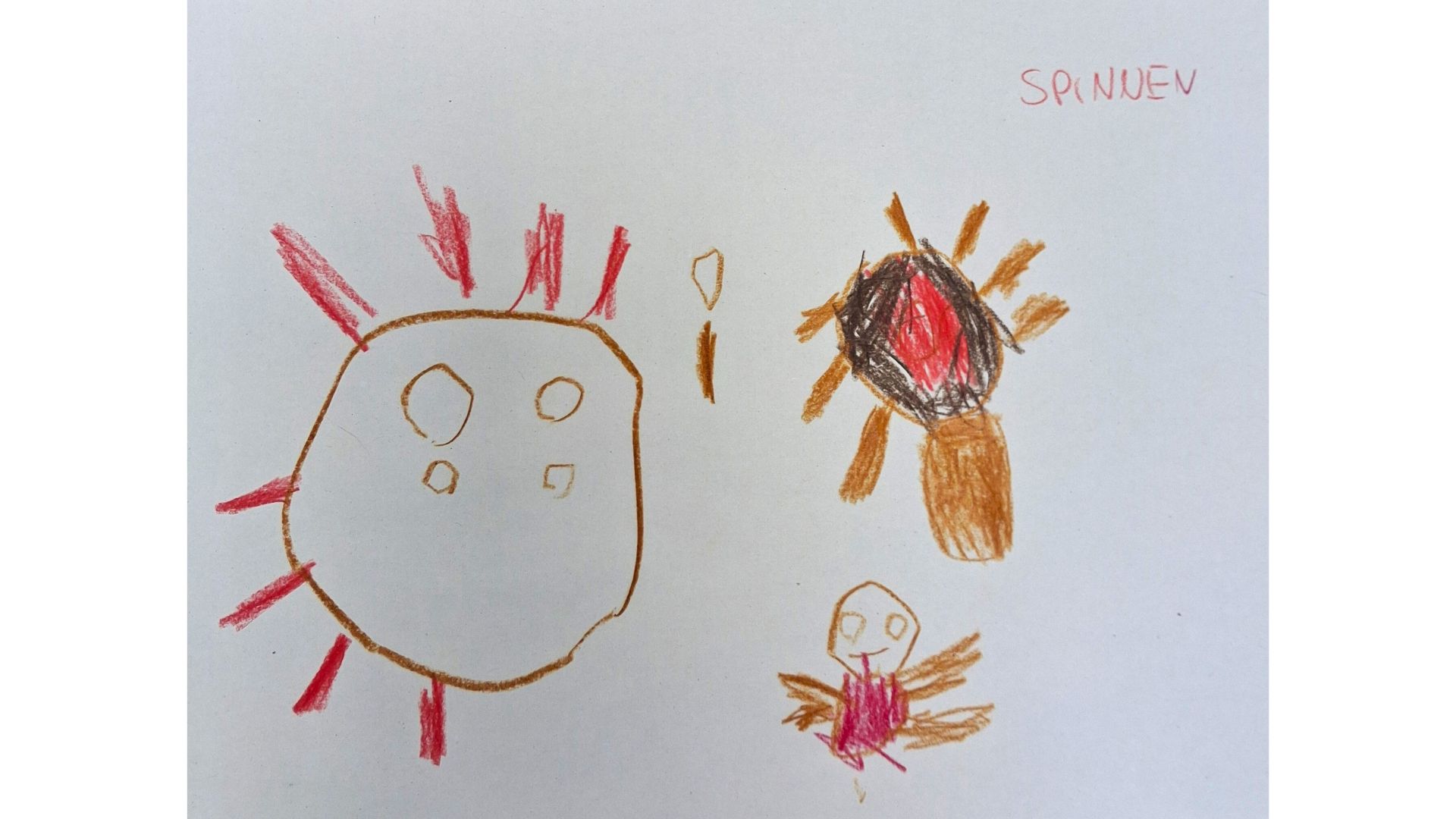 Feedback - Kinderbild Kita Braukämperstraße